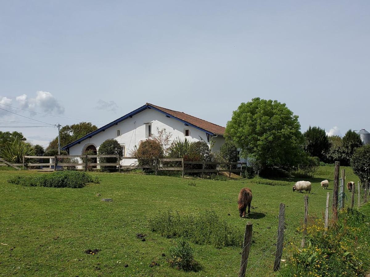 Family Home With Pool Saint-Lon-Les-Mines Esterno foto
